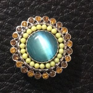 Retired Cats Eye Snap